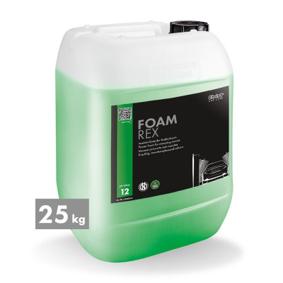 FOAM REX premium insect foam, 25 kg