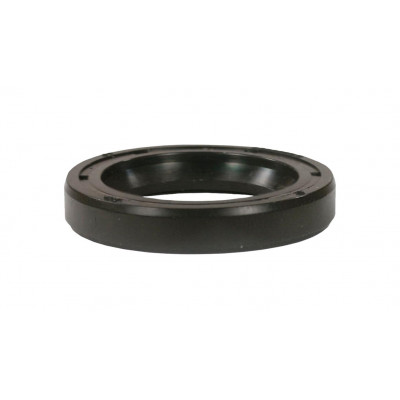 Oil seal for INTERPUMP power pump